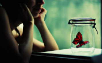 Đời người tự tìm trái đắng